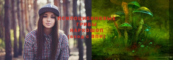 дмт Медногорск