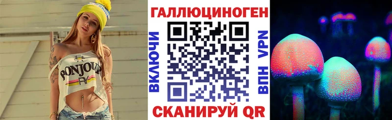 сколько стоит  Калининец  Псилоцибиновые грибы Cubensis 